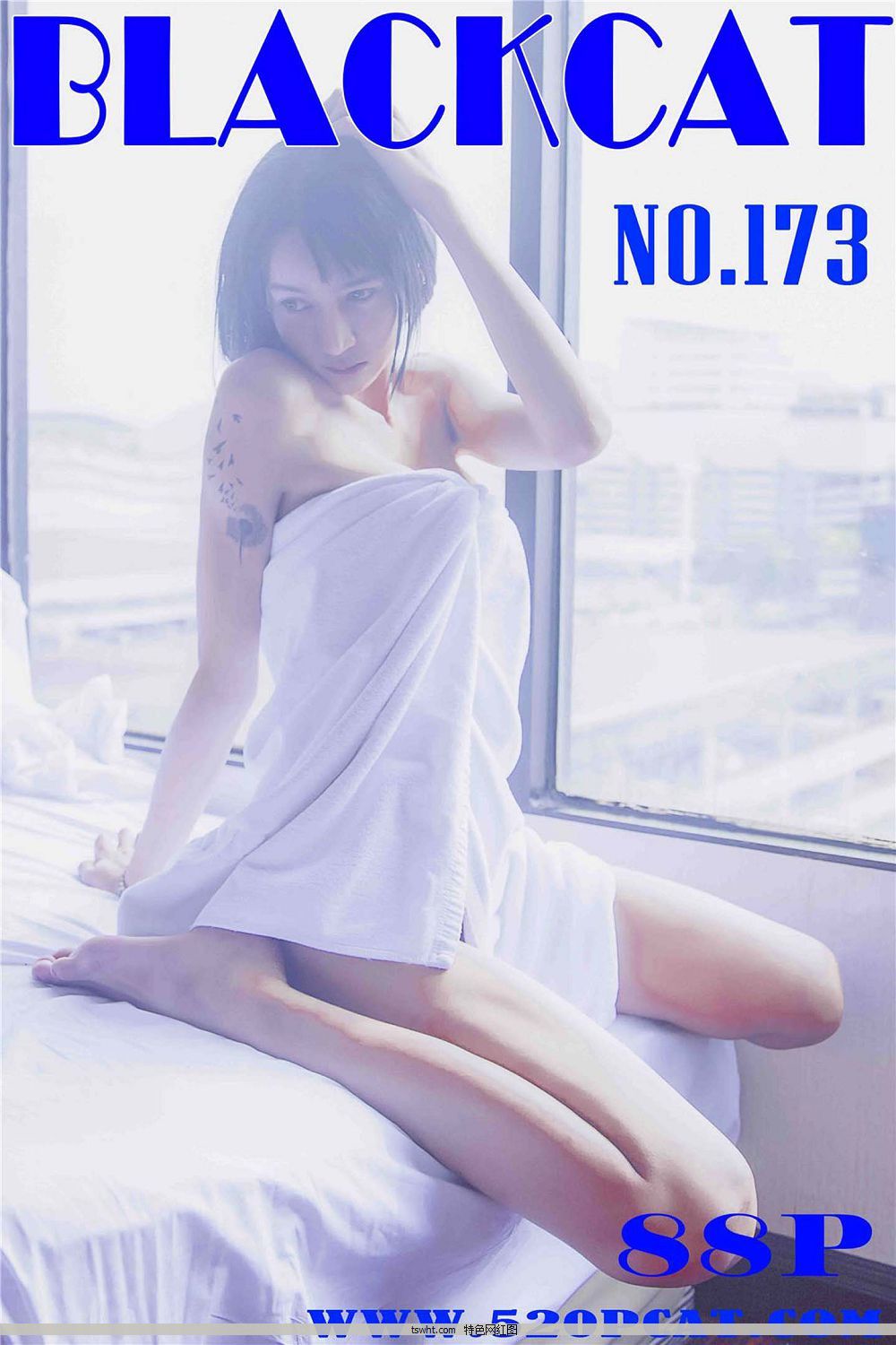 [ſ߶˽PartyCat] N18.719 Vol.173 [88PM]