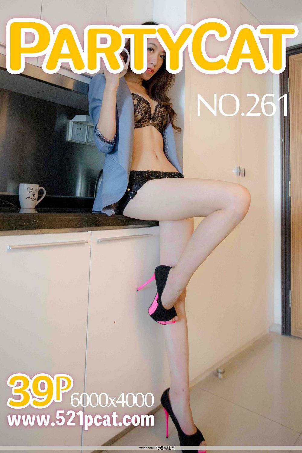 [ſ߶˽PartyCat] N18.1023 Vol.261 ߶ģ˽дԤ [39P]