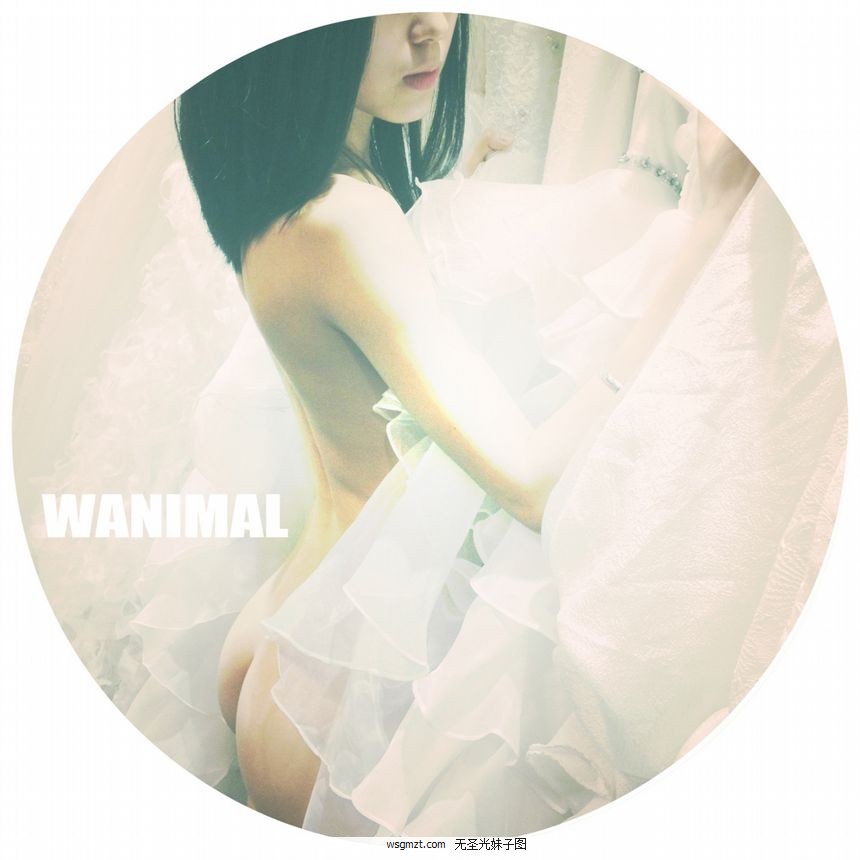 WANIMALƷʥͼģ[71P]ȫ