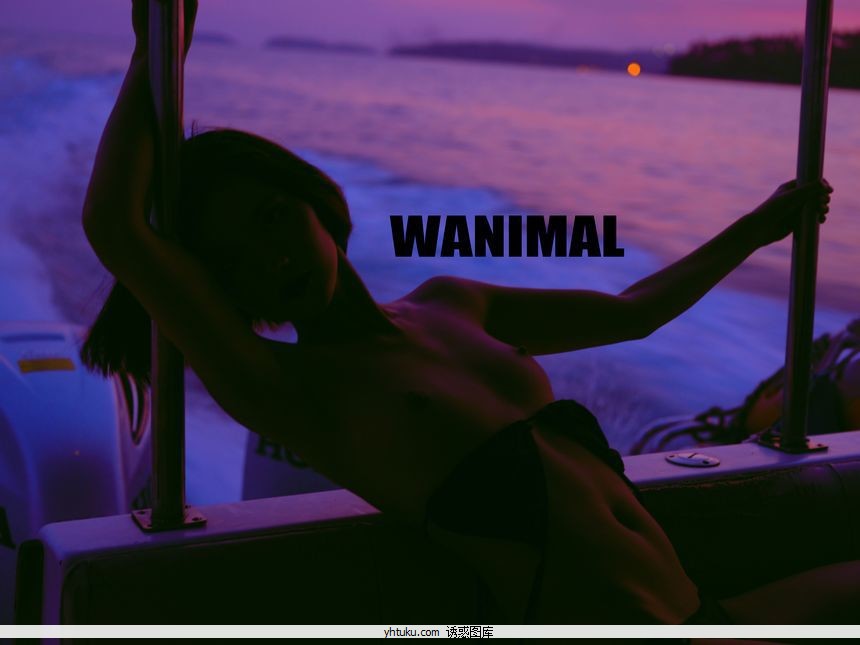 WANIMALٷƷN18.̩ʥͼ