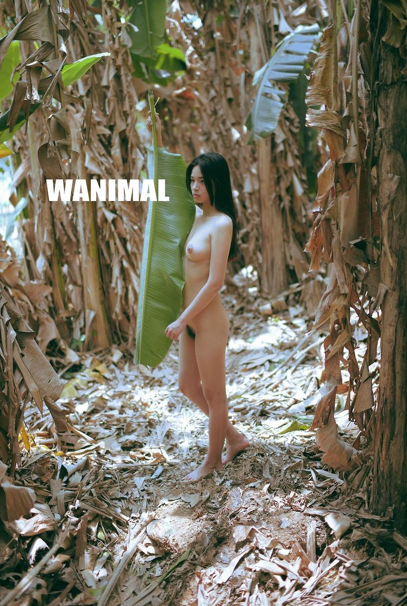 ڵ WANIMALƷ (ʮ) [104P] ͼ P.1 